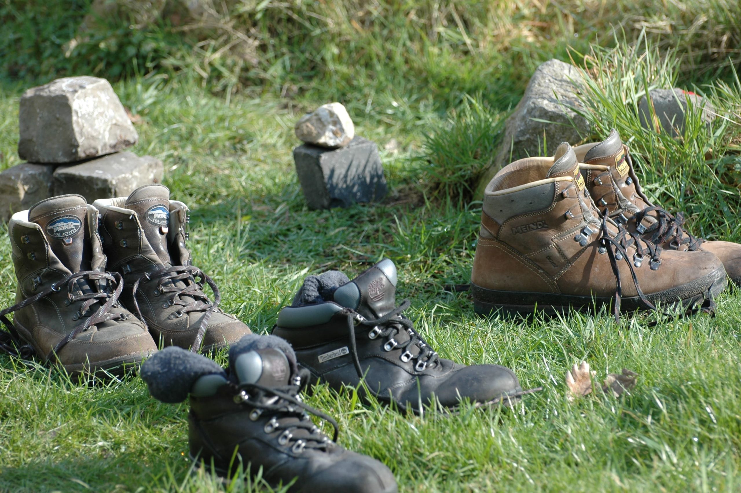 Mannentraining mannen in t wild vuur