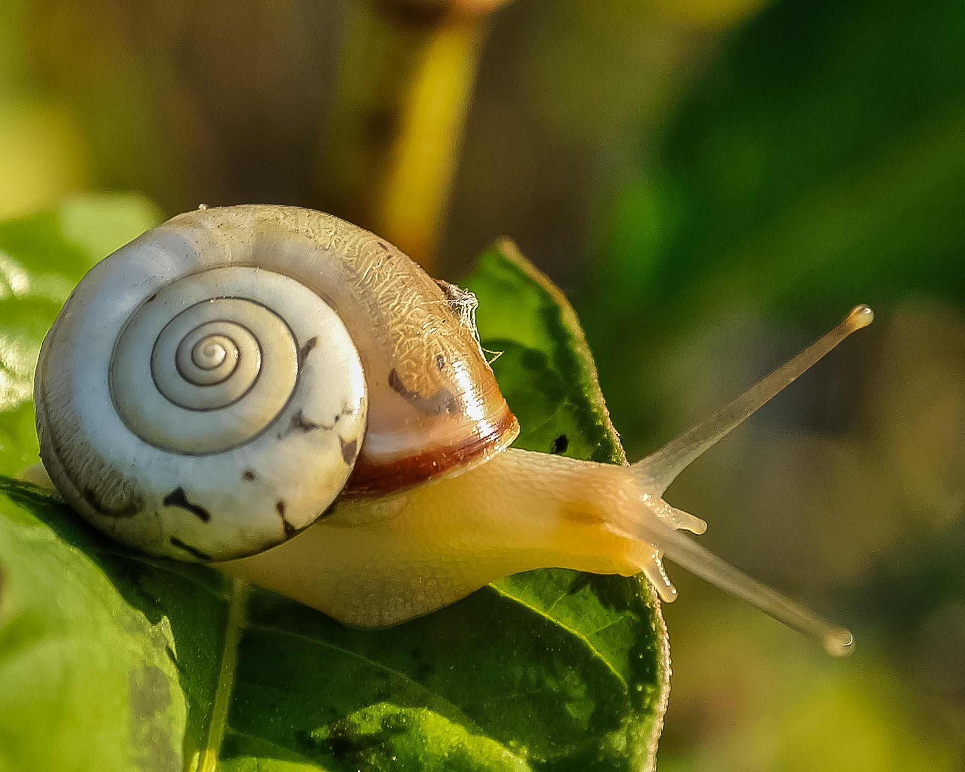 Mannentraining mannen in t wild vuur